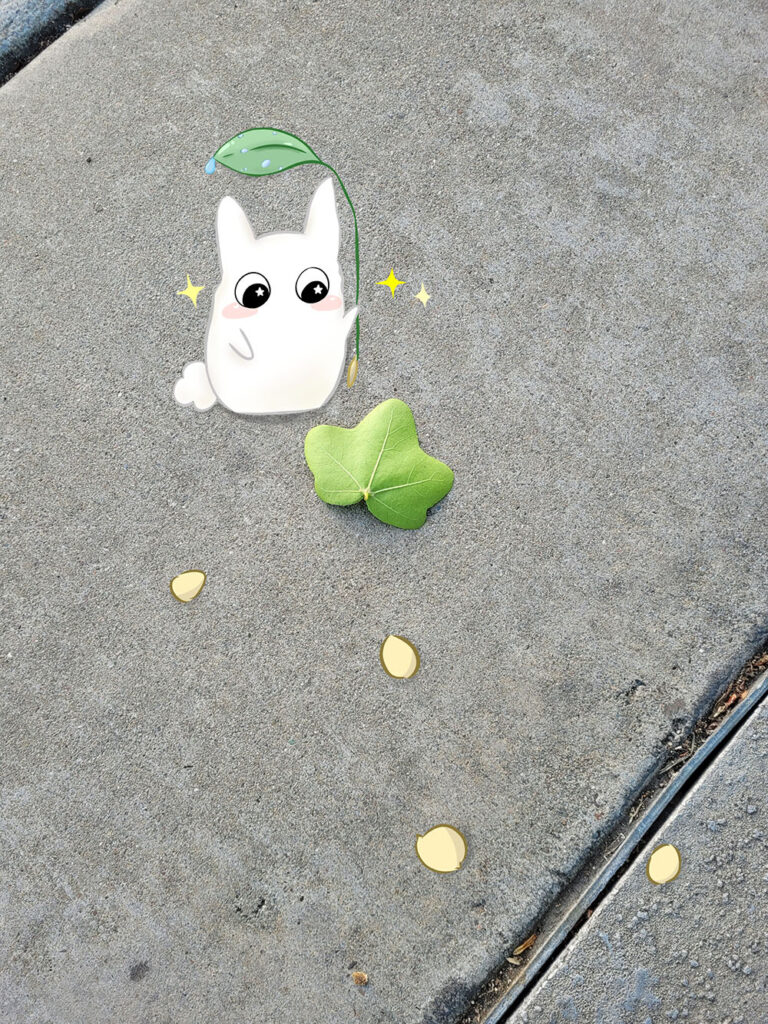 Cute rounded leaf